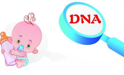 东莞DNA亲子鉴定实验流程？
