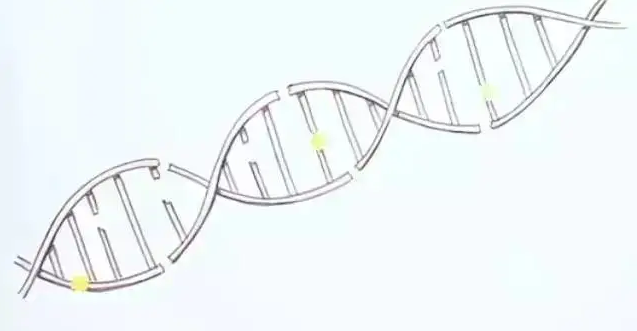 有人说基因检测就是科学算命？那是还没有正确认识基因检测！ 