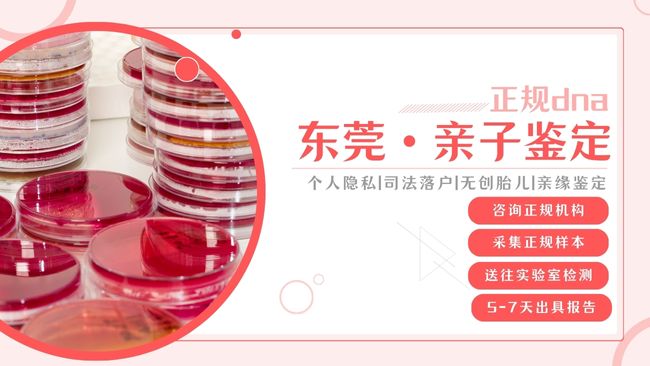 东莞亲子鉴定怎么做？科学流程与专业服务全解析